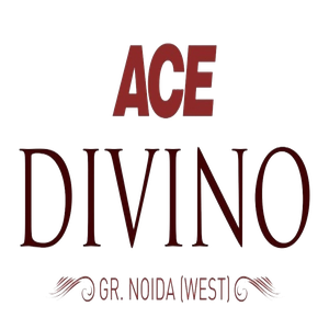 ACE_Divino_300x300